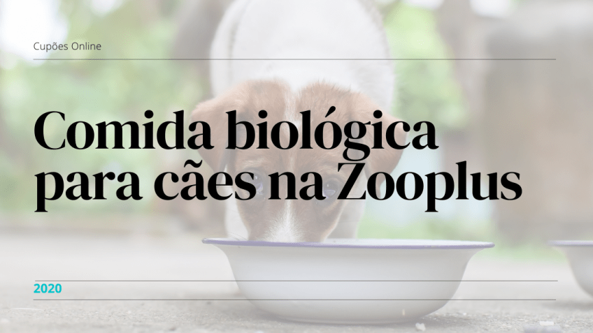 comida biológica para cães